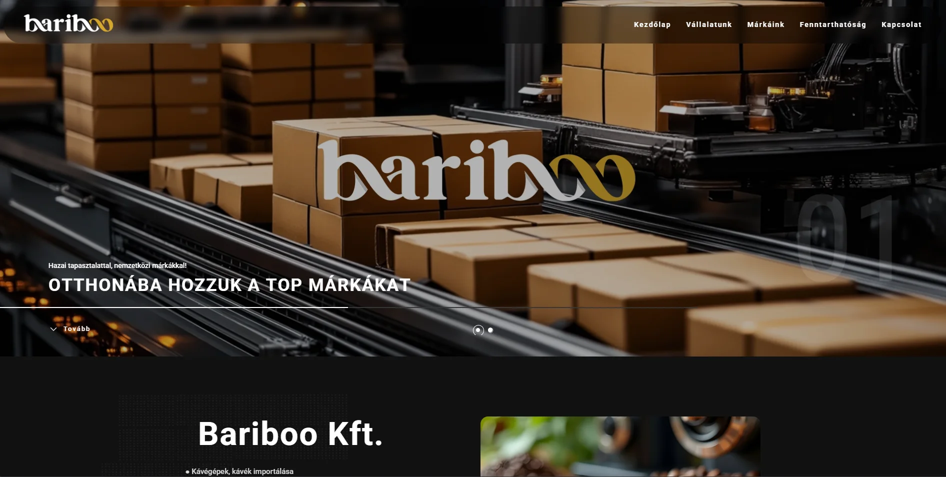 Bariboo – bemutatkozó weboldal